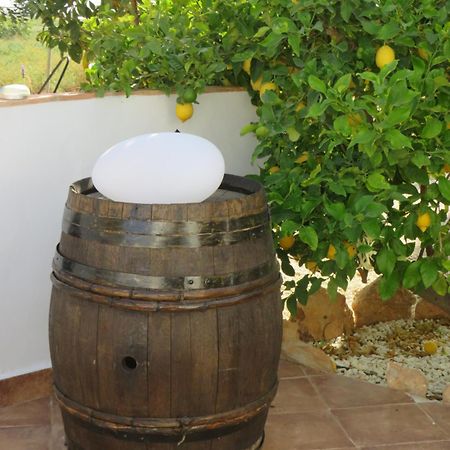 B&B Finca La Manchica Cartagena Ngoại thất bức ảnh